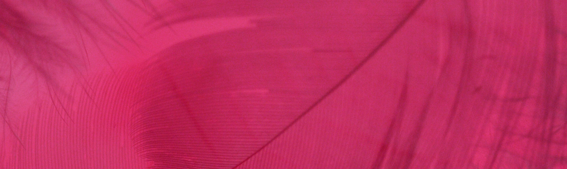 newsletter, soutien, sutiã, cueca