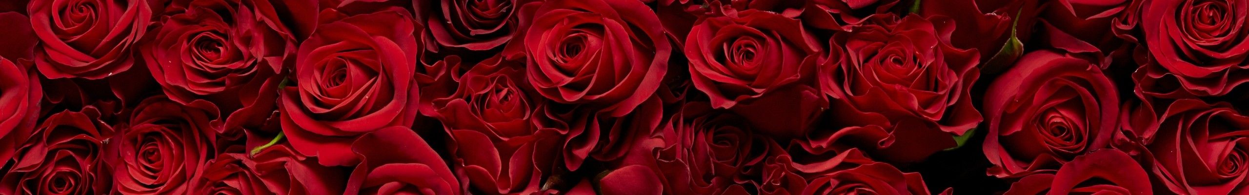 Utilize para a medida do amor  amar sem medida