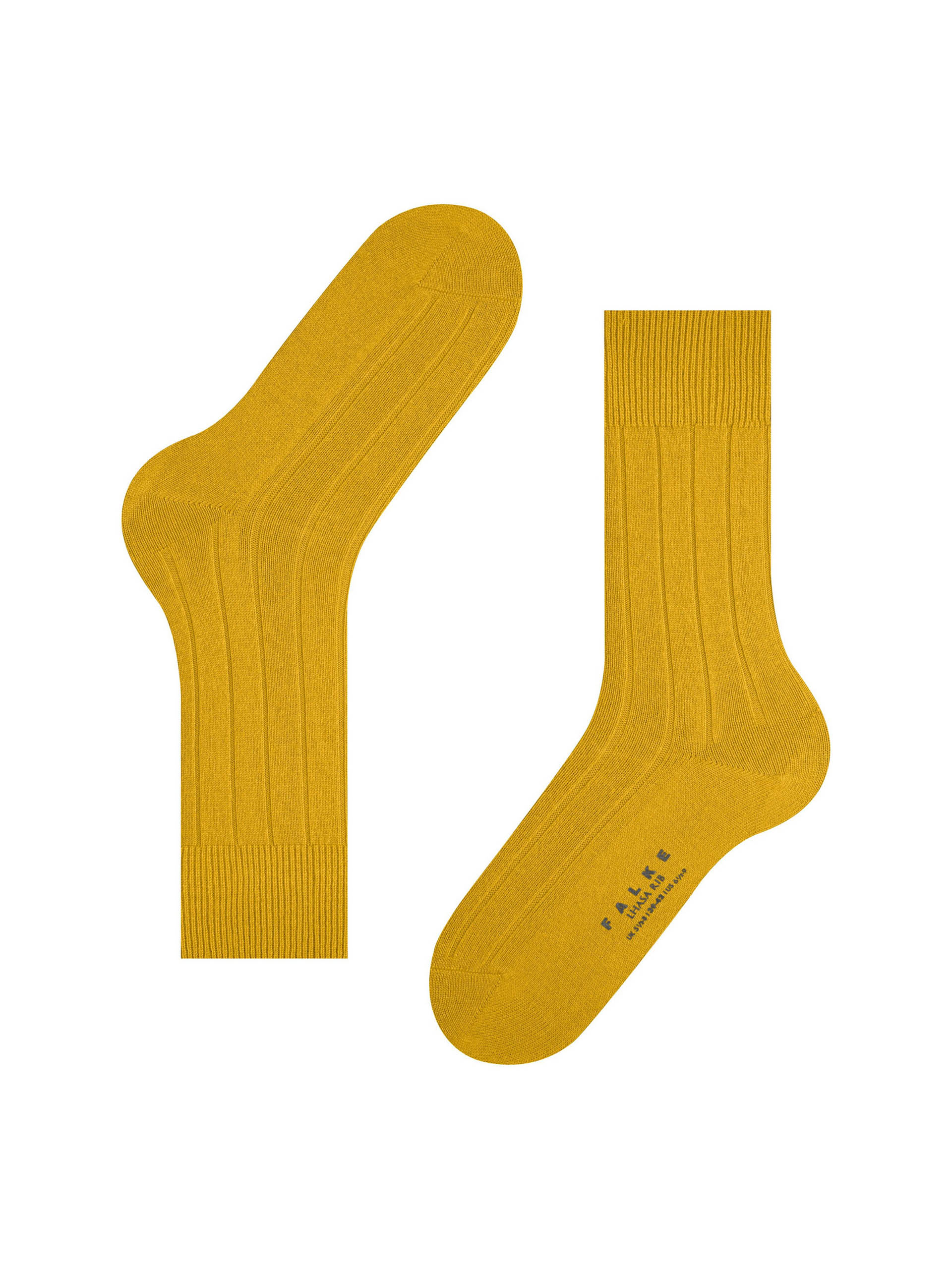 PEUGAS FALKE LHASA RIB SO 14423