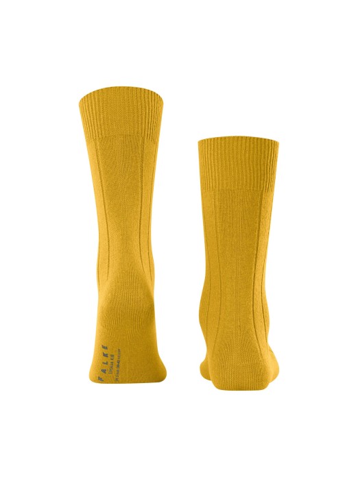 PEUGAS FALKE LHASA RIB SO 14423