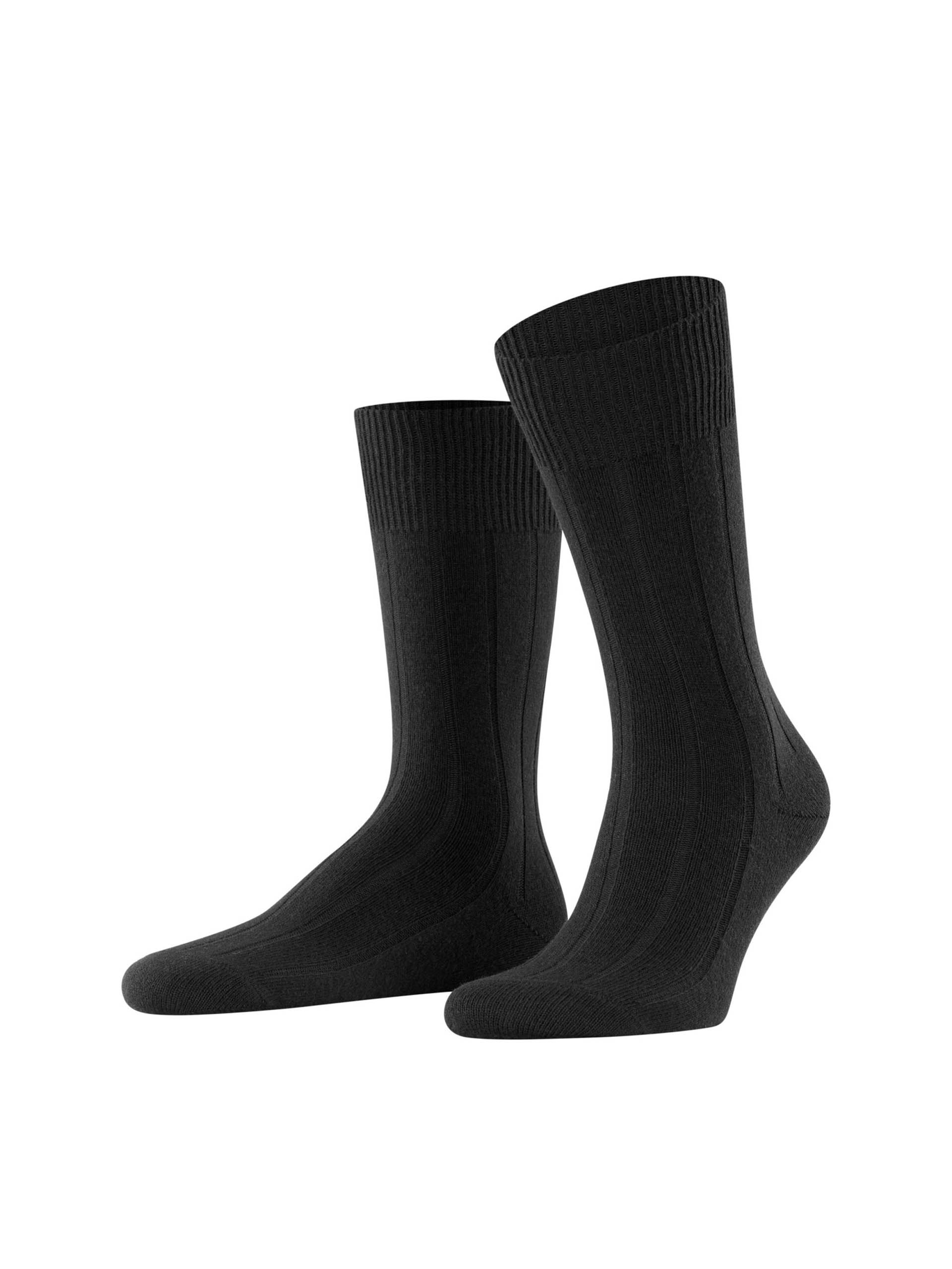 PEUGAS FALKE LHASA RIB SO 14423