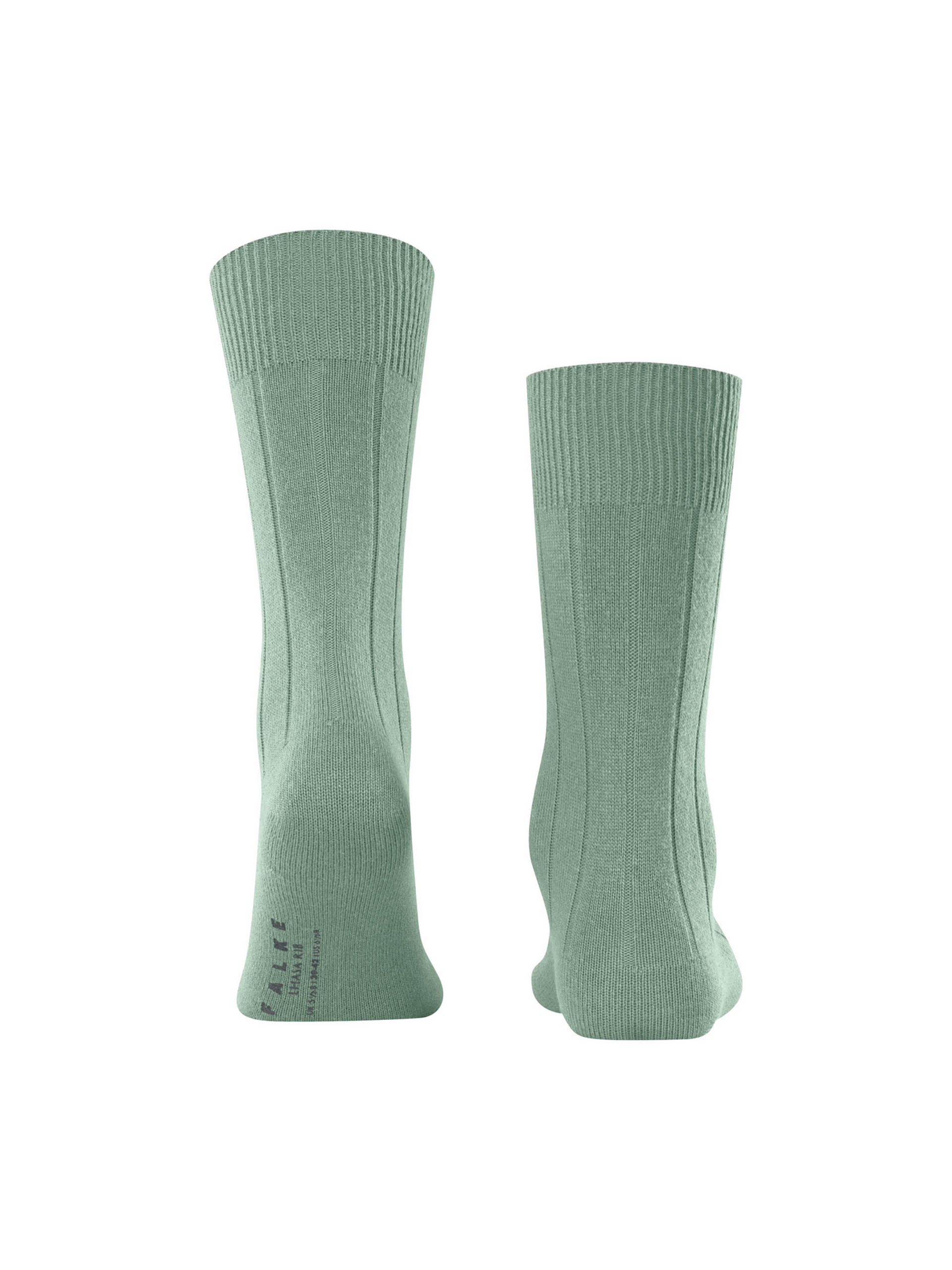 PEUGAS FALKE LHASA RIB SO 14423