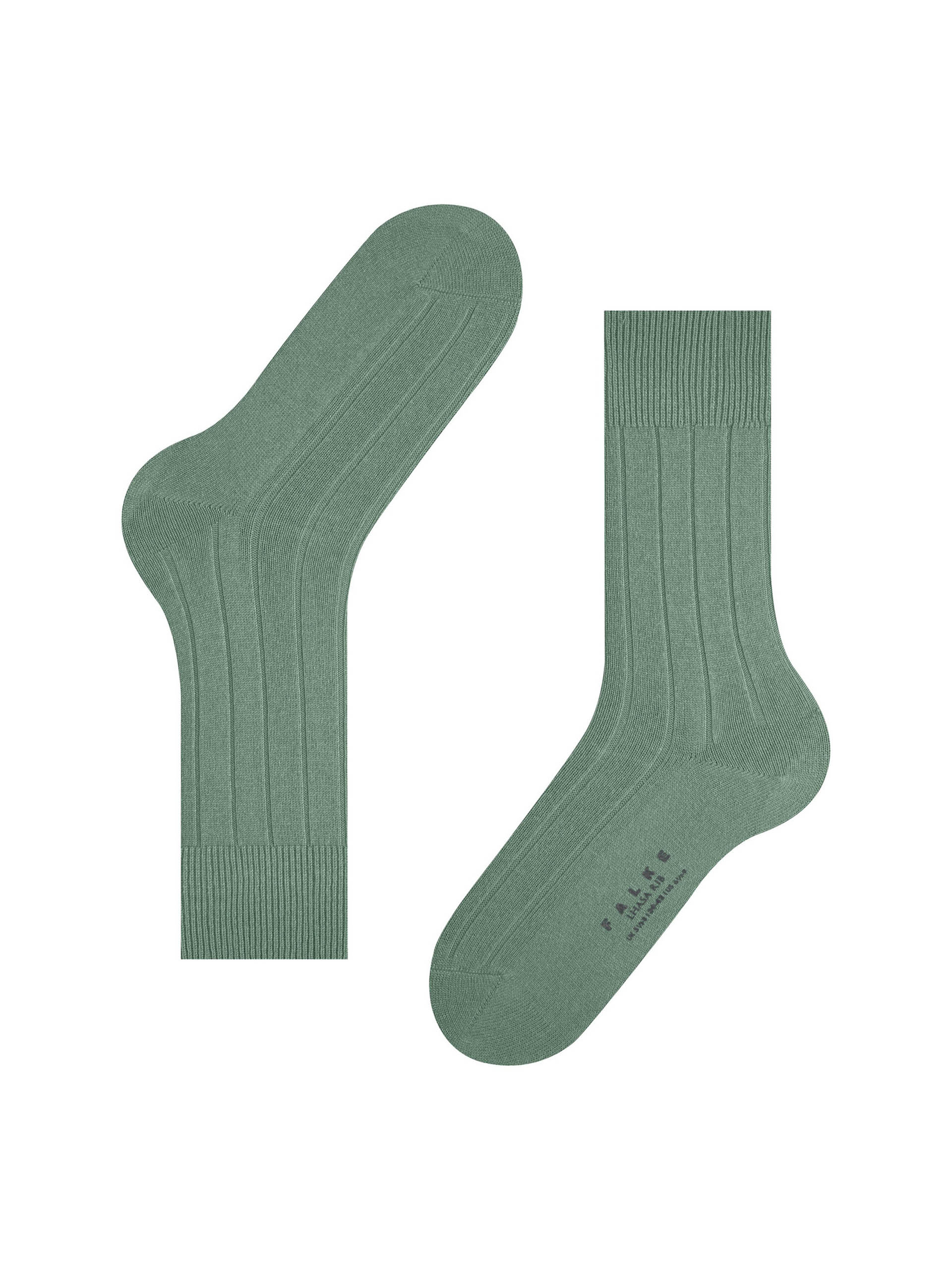 PEUGAS FALKE LHASA RIB SO 14423