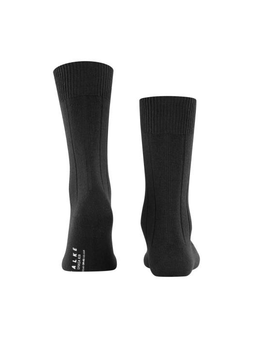 PEUGAS FALKE LHASA RIB SO 14423