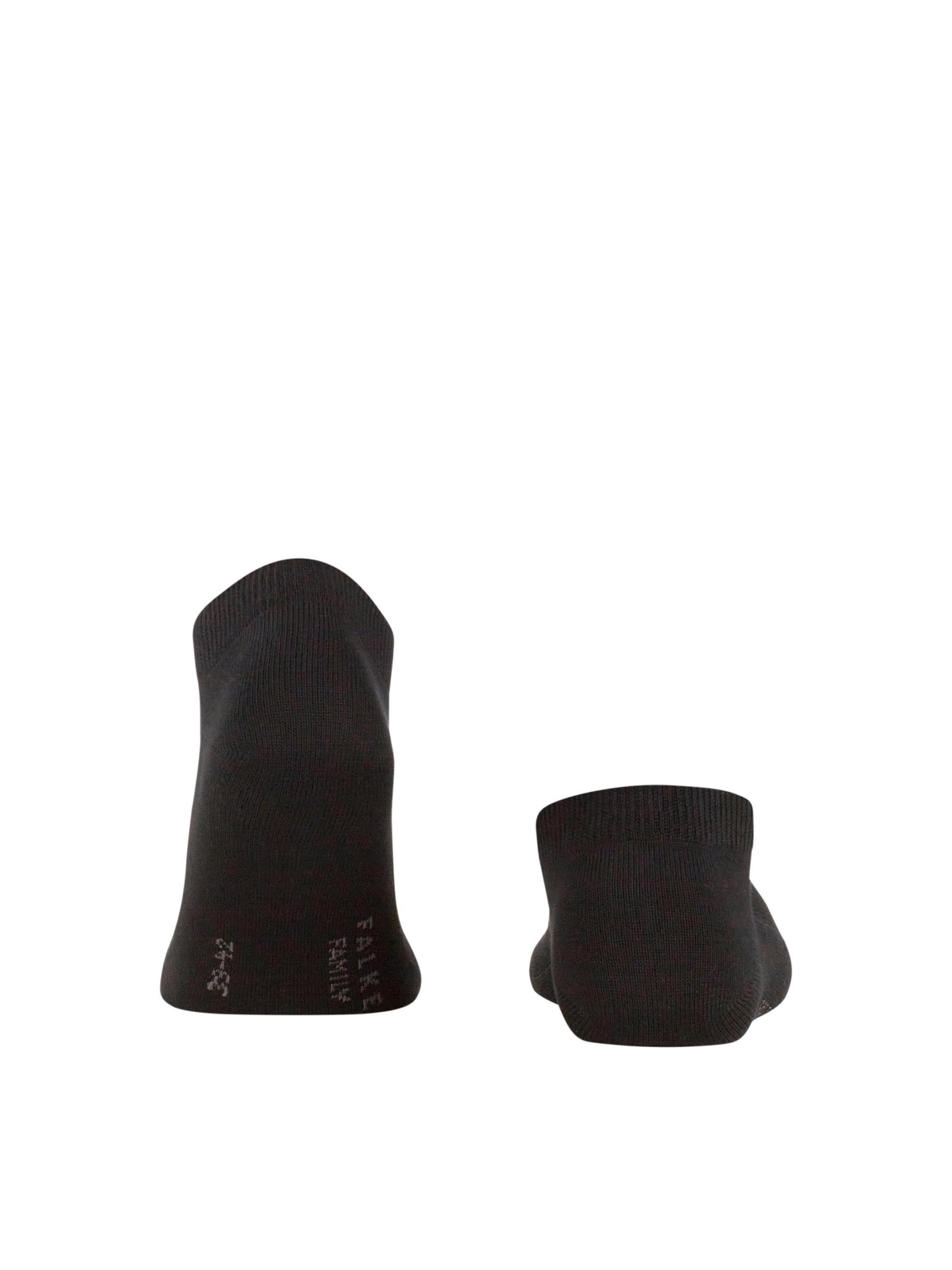 PEUGA FALKE FAMILY SN 14612