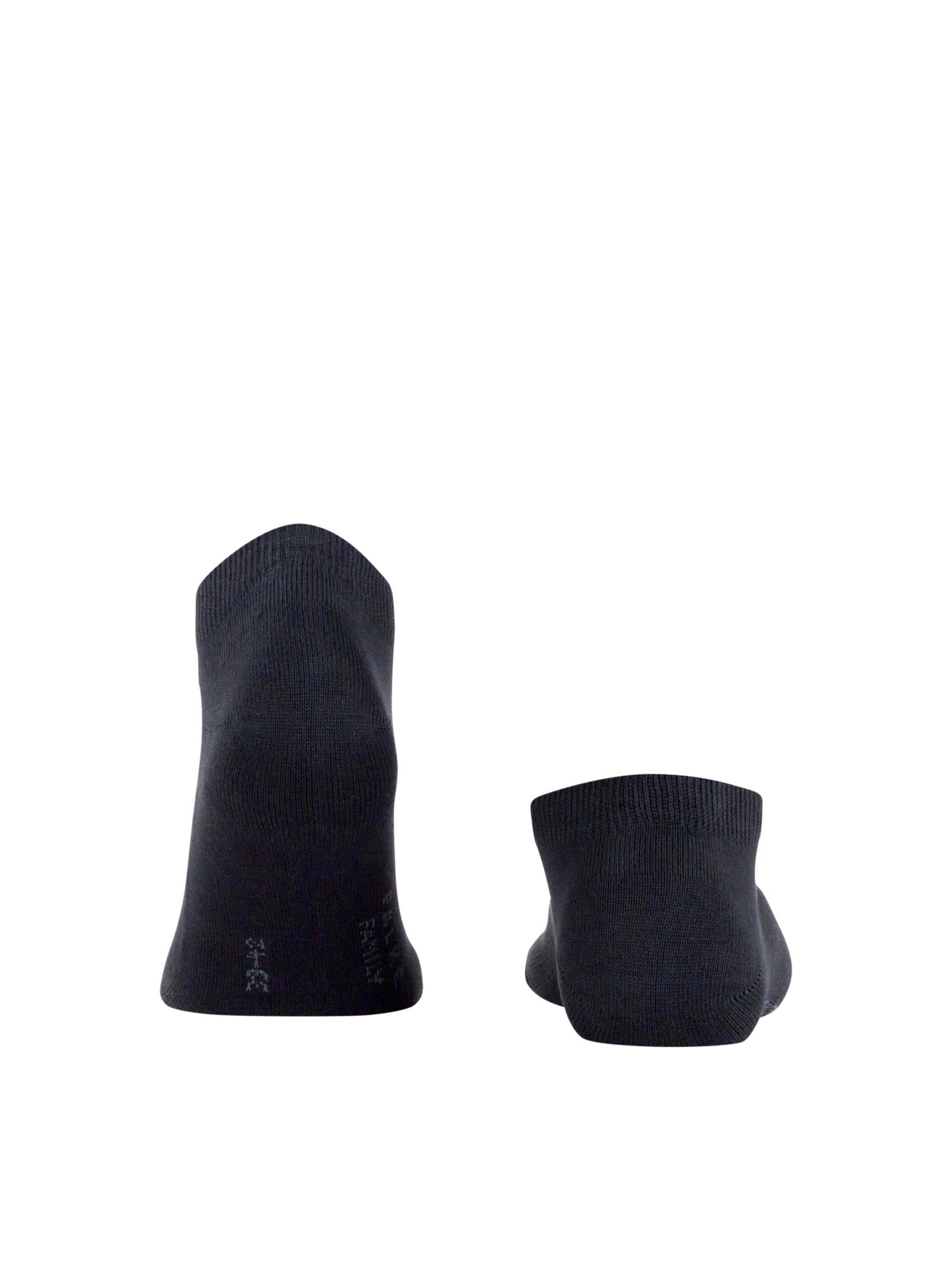 FAMILIA PEUGA FALKE SN 14612