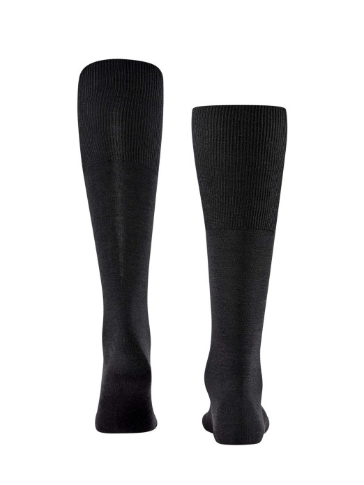 PEUGA FALKE AIRPORT 15435