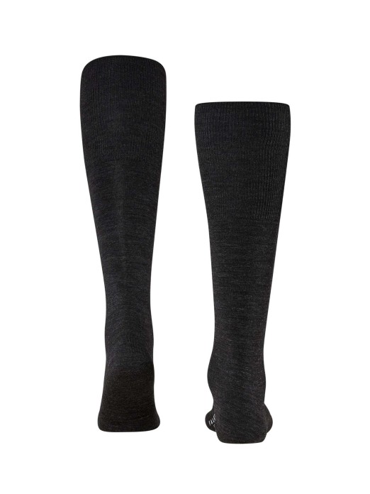 PEUGA FALKE AIRPORT 15435