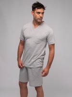 Cinzento desvanecido claro