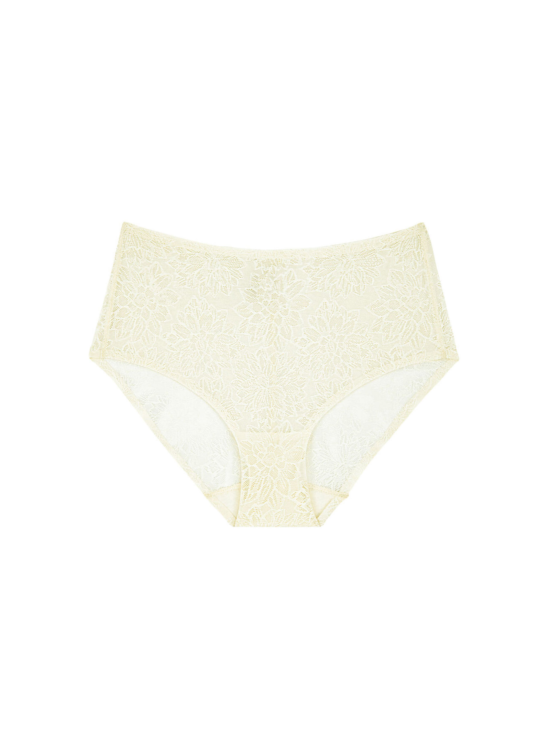 BRIEFS TRIUMPH FIT SMART MAXI