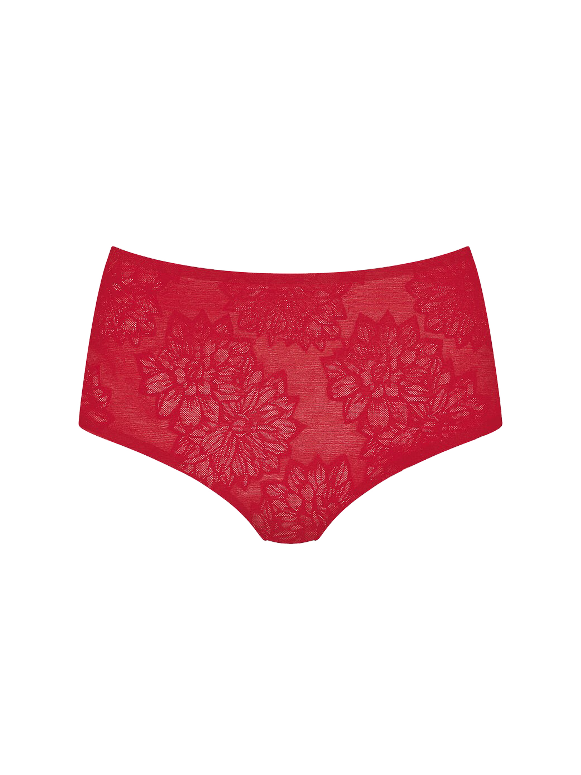 BRIEFS TRIUMPH FIT SMART MAXI