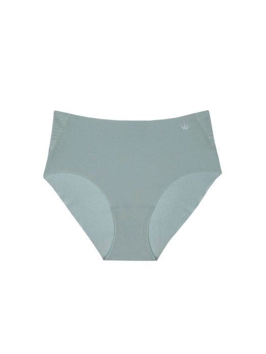 TRIUMPH FLEX SMART MAXI BRIEFS