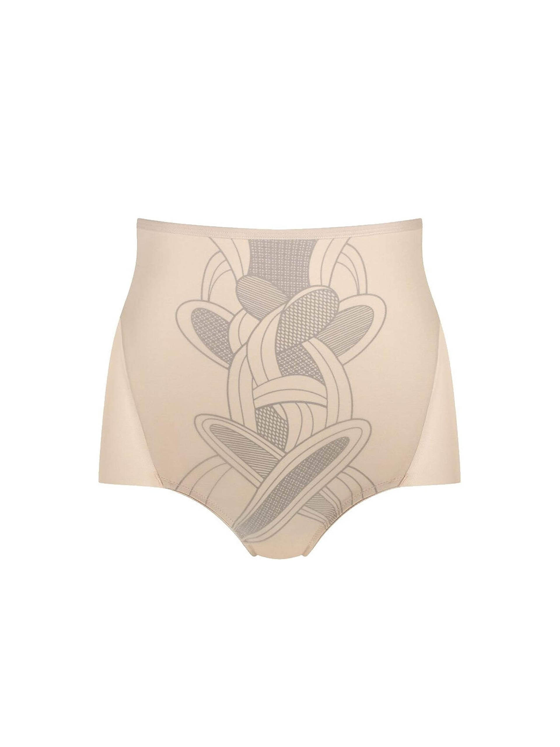 TRIUMPH SUMMER SHEER HIGHWAIST BRIEFS