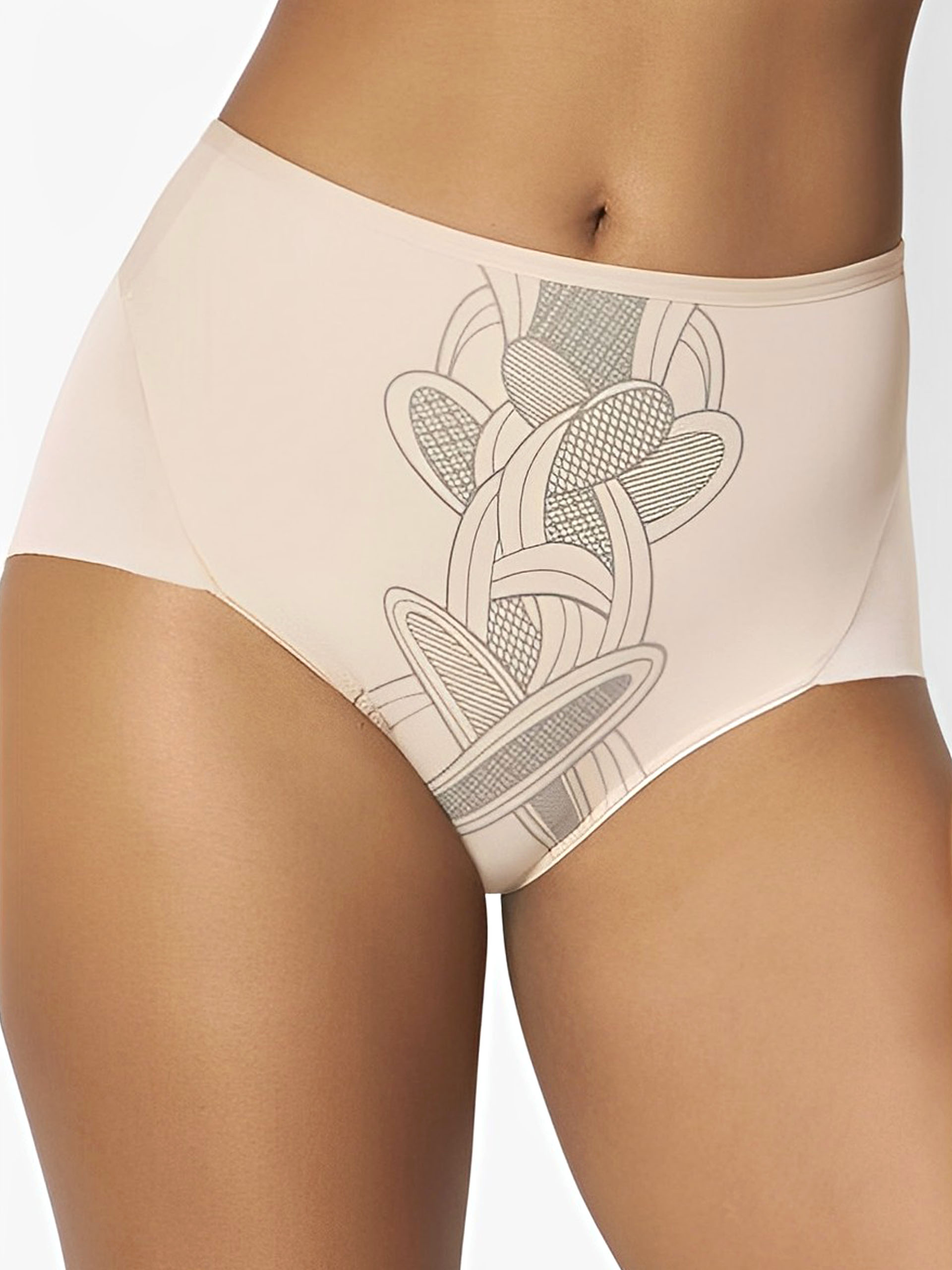 TRIUMPH SUMMER SHEER MAXI BRIEFS