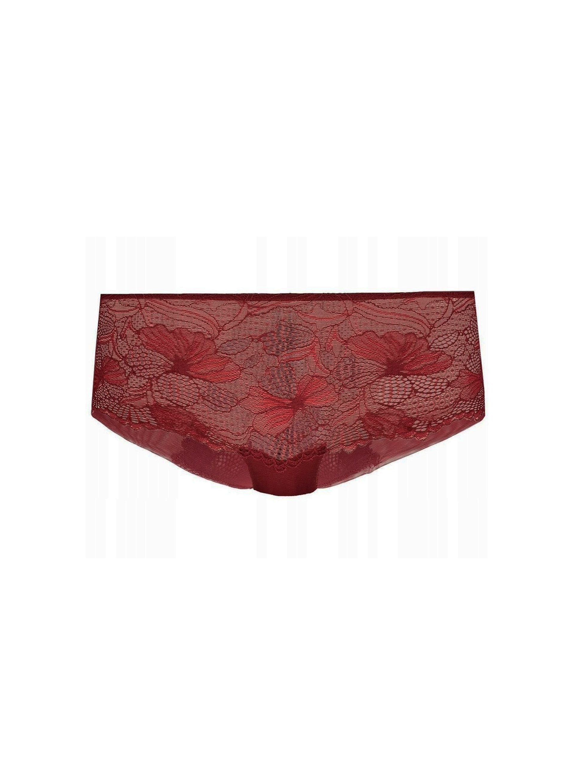 BRAGUITA TRIUMPH LACE SPOTLIGHT BANDEAU BRIEF