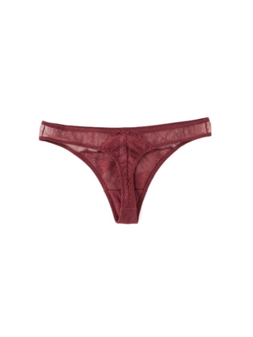 TRIUMPH LACE SPOTLIGHT STRING BRIEFS