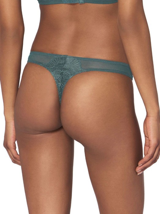 TRIUMPH LACE SPOTLIGHT STRING BRIEFS