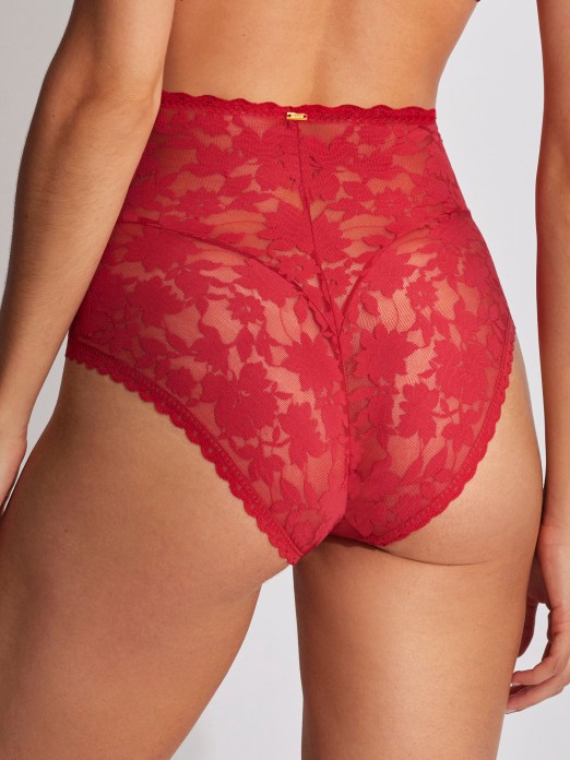 SELMARK LADIES BRIEFS 61090
