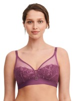 Platinum purple lilac