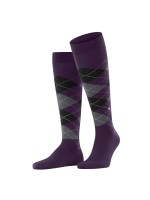 Platinum purple lilac