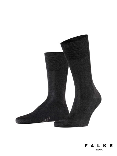 MAN SOCKS FALKE TIAGO 14662