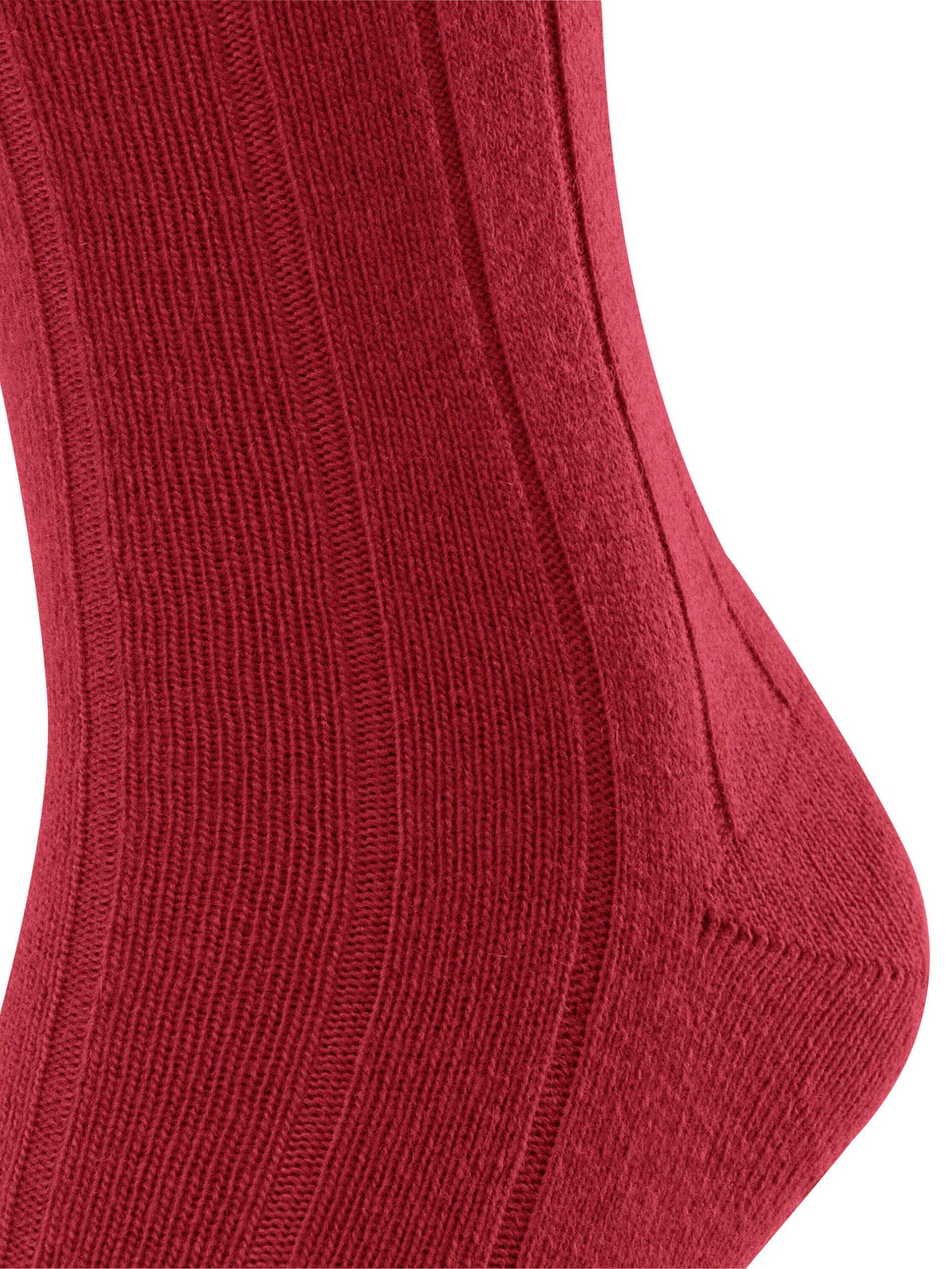 PEUGAS FALKE LHASA RIB SO 14423