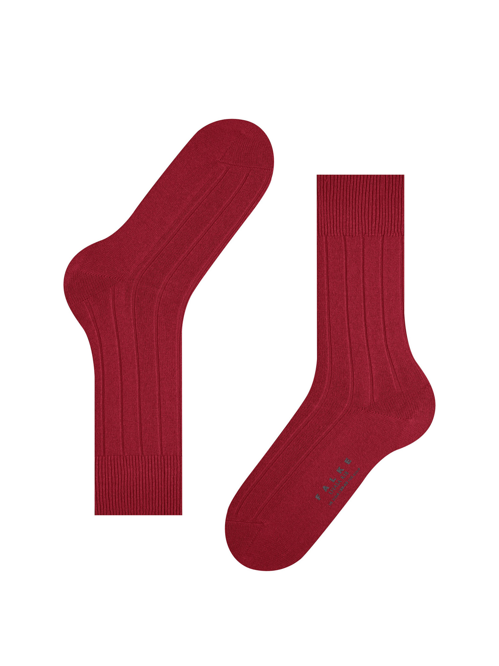 PEUGAS FALKE LHASA RIB SO 14423