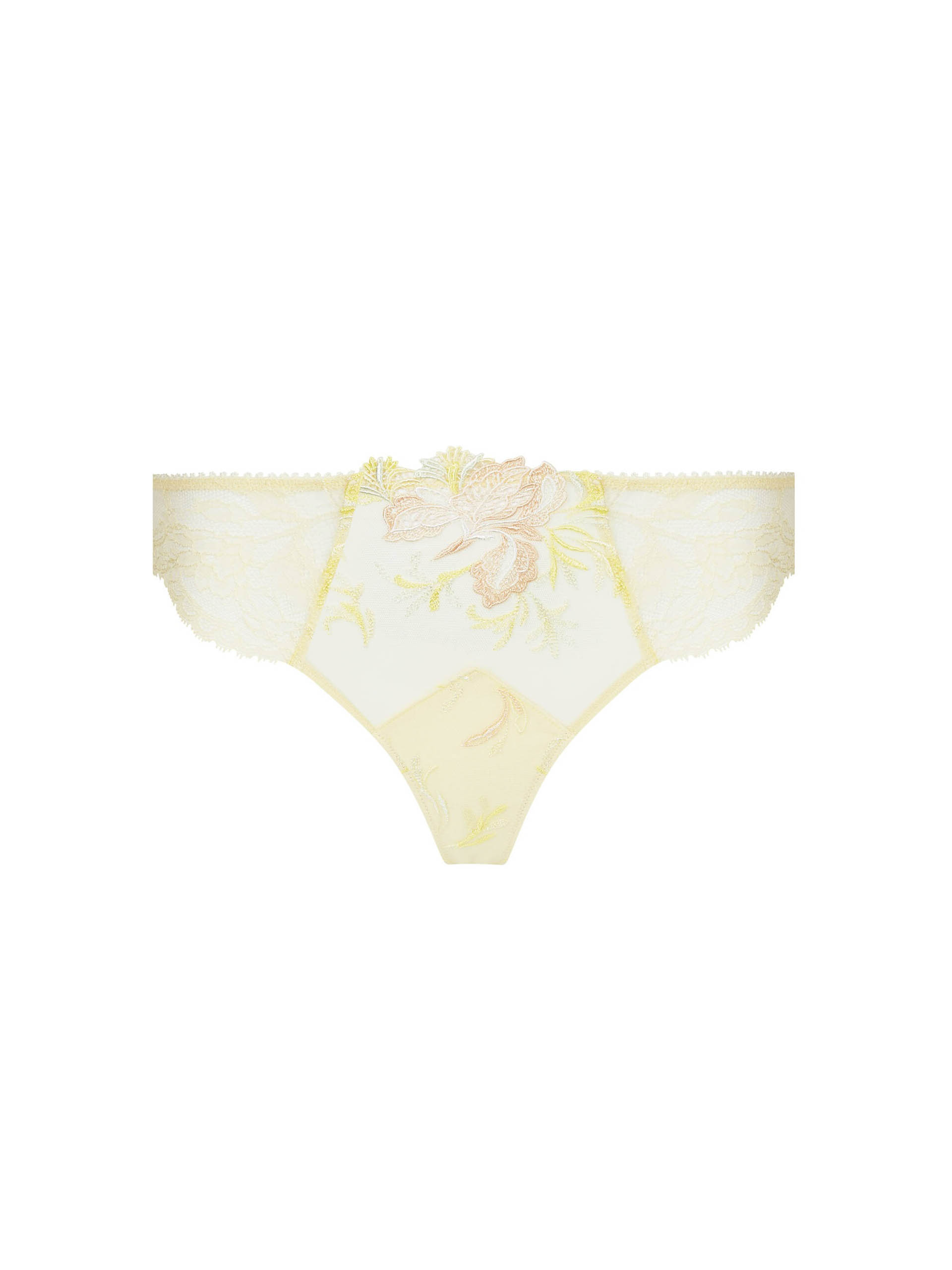 LISE CHARMEL ACH0061 BRIEFS