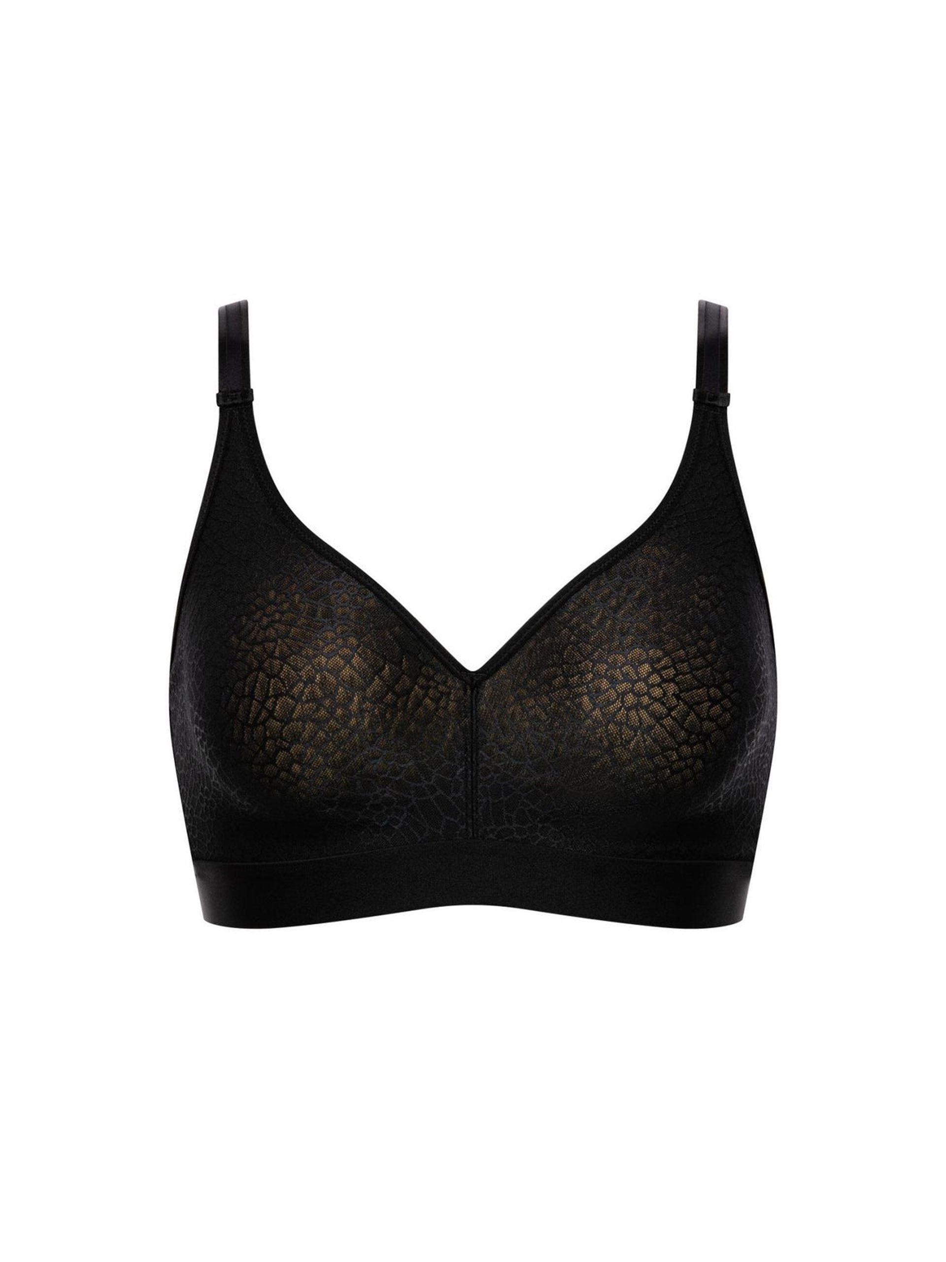 SOUTIEN CHANTELLE 1892