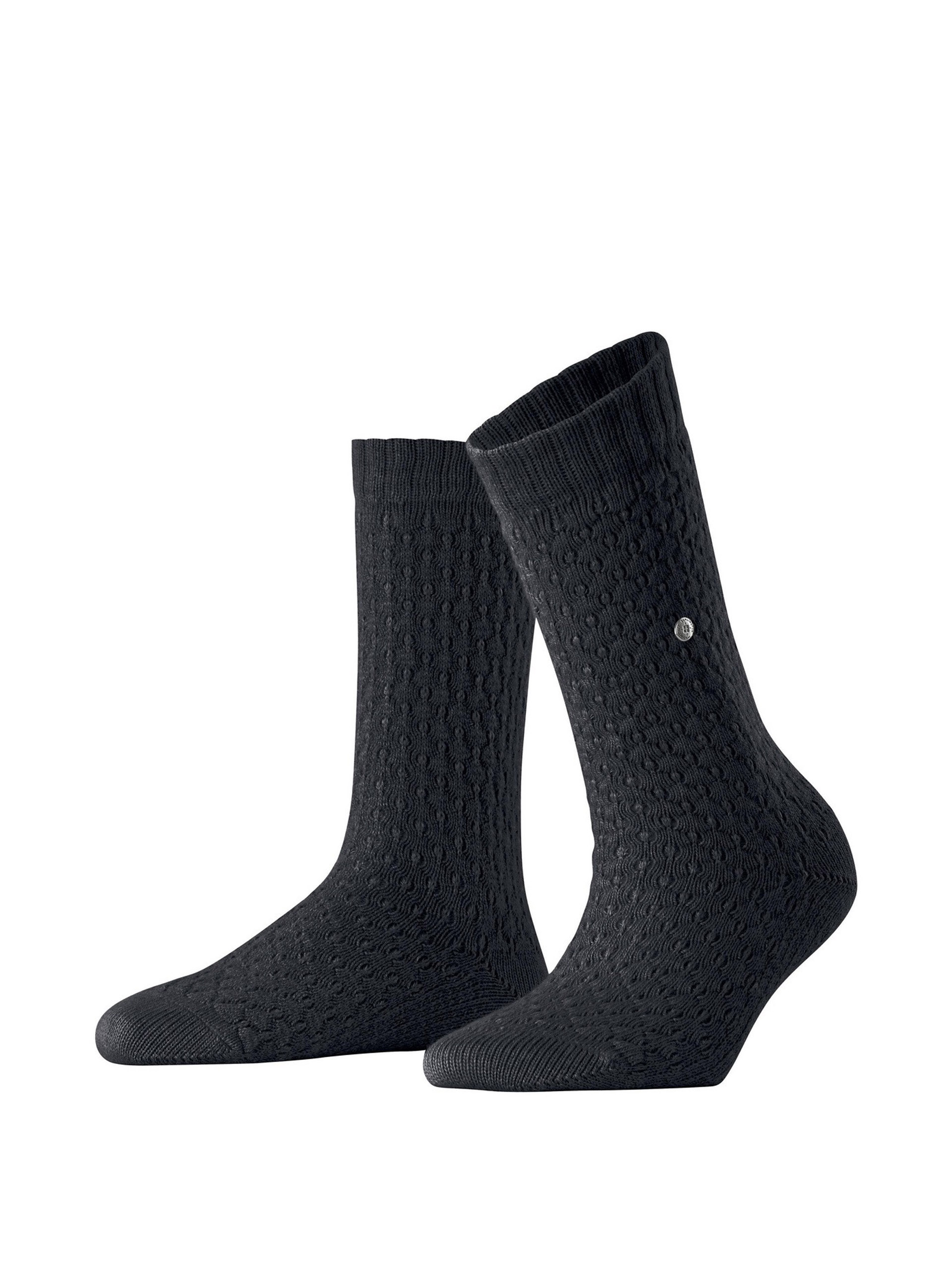 HALF BURLINGTON ORKNEY SO 22006