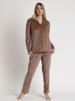 Castanho cinza claro