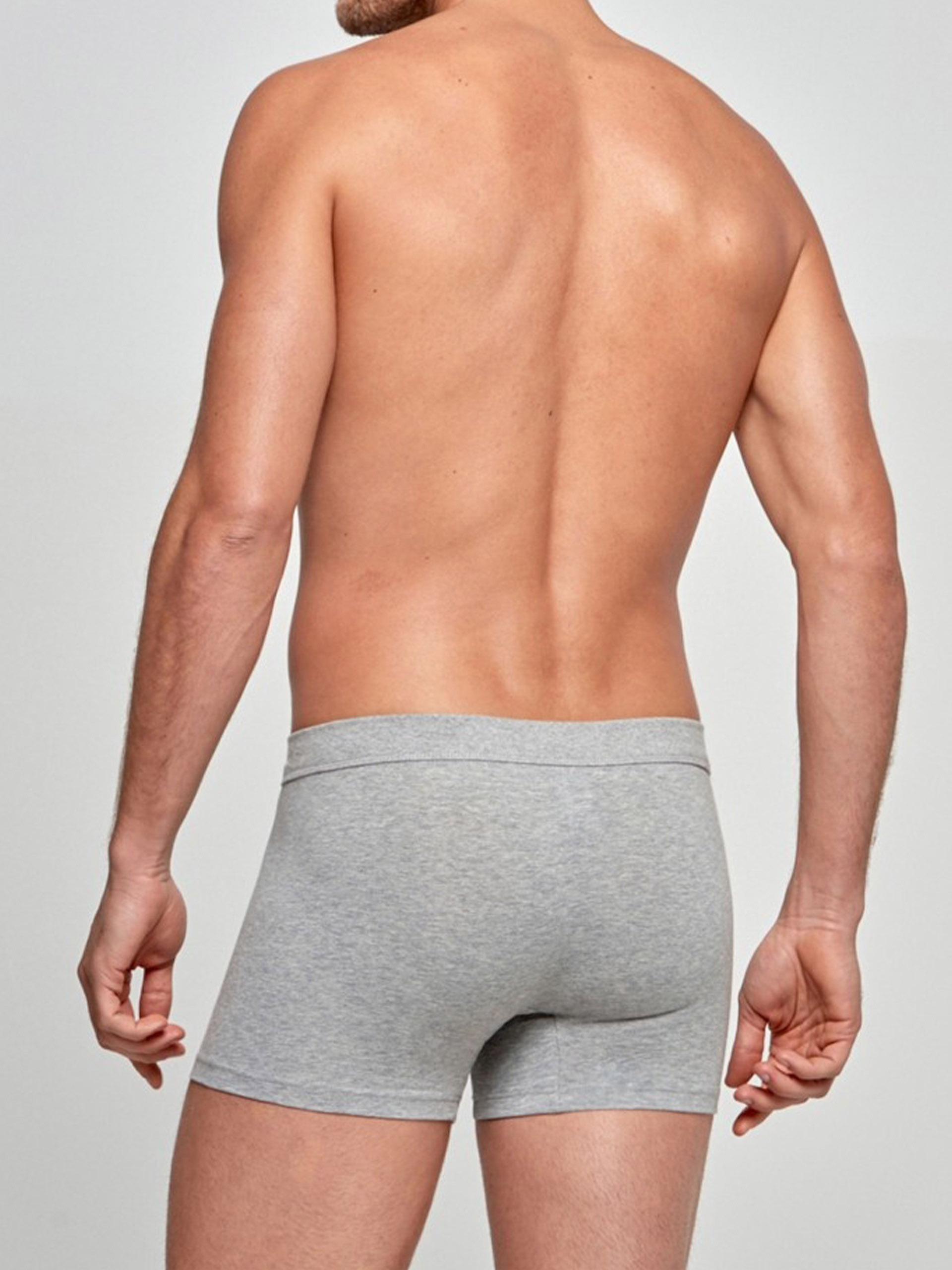 BOXER IMPTEUS 1229020