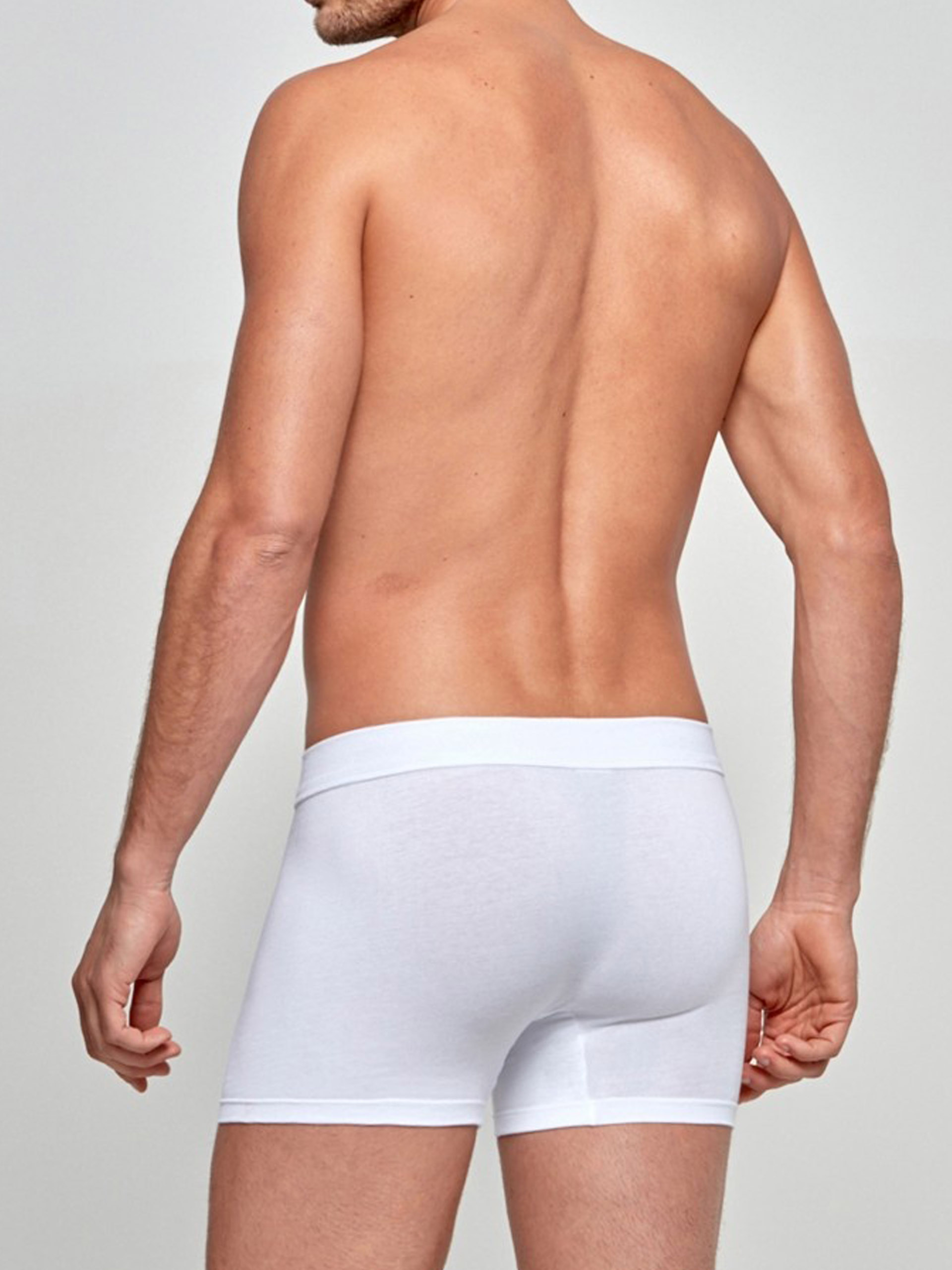 BOXER IMPTEUS 1229020