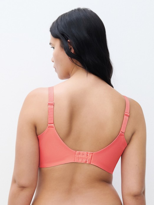 SUPPORT CHANTELLE 21S20