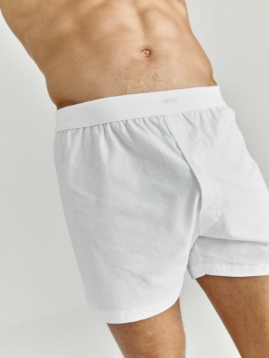 BOXER  H IMPETUS 1271001 BOXER  H IMPETUS 1271001