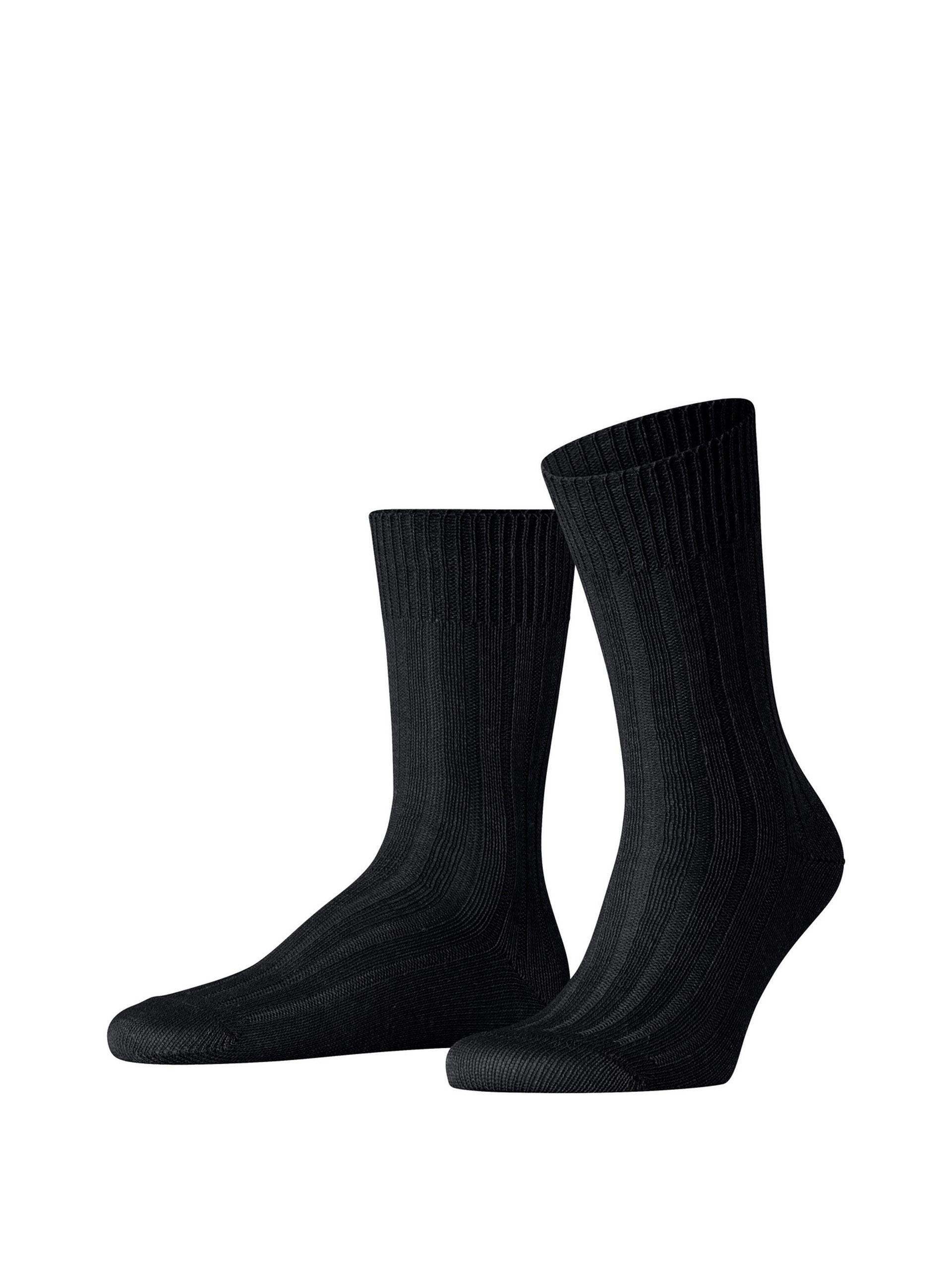 MEN'S SOCKS FALKE BAY RIBS SO 12597