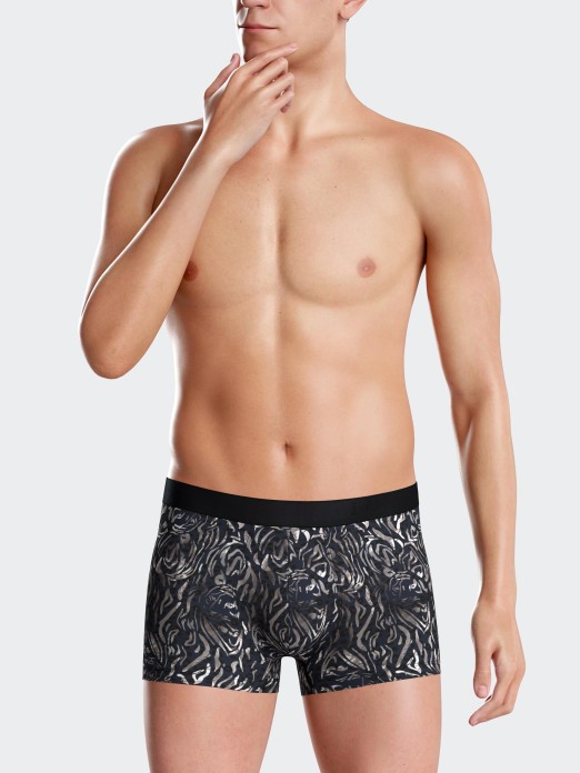 BOXER IMPETUS II1221N33 P2
