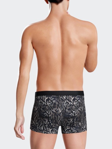 BOXER IMPETUS II1221N33 P2