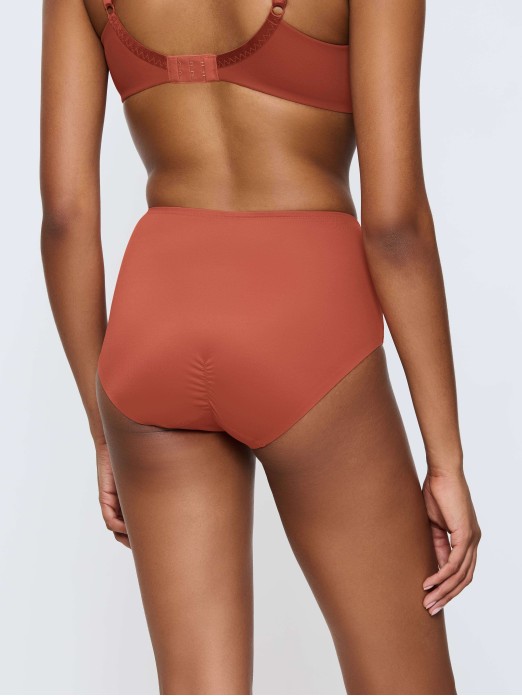 TRIUMPH TRUE SHAPE SENSATION T MAXI BRIEFS