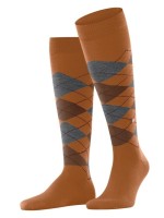 5582 BN Castanho Caramel