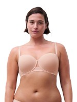 0RG CH Rosa Suave